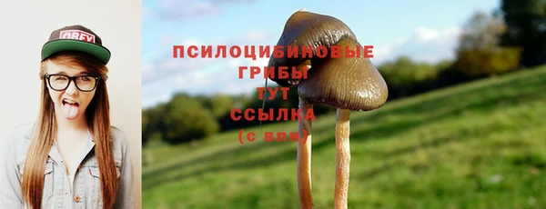 круглые Бронницы